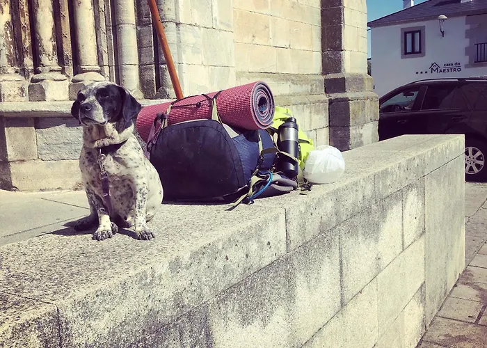 Casa Do Maestro Penzion 3*